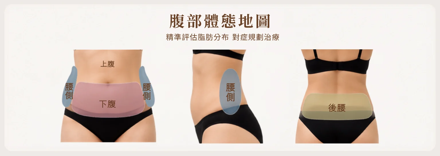腹部脂肪分布與體態評估